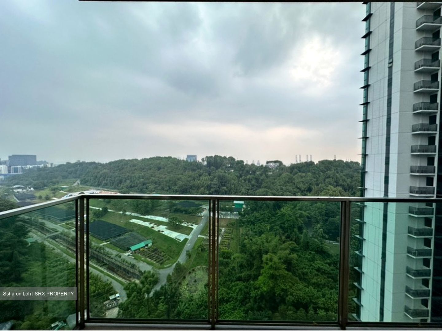 Normanton Park (D5), Apartment #598730431